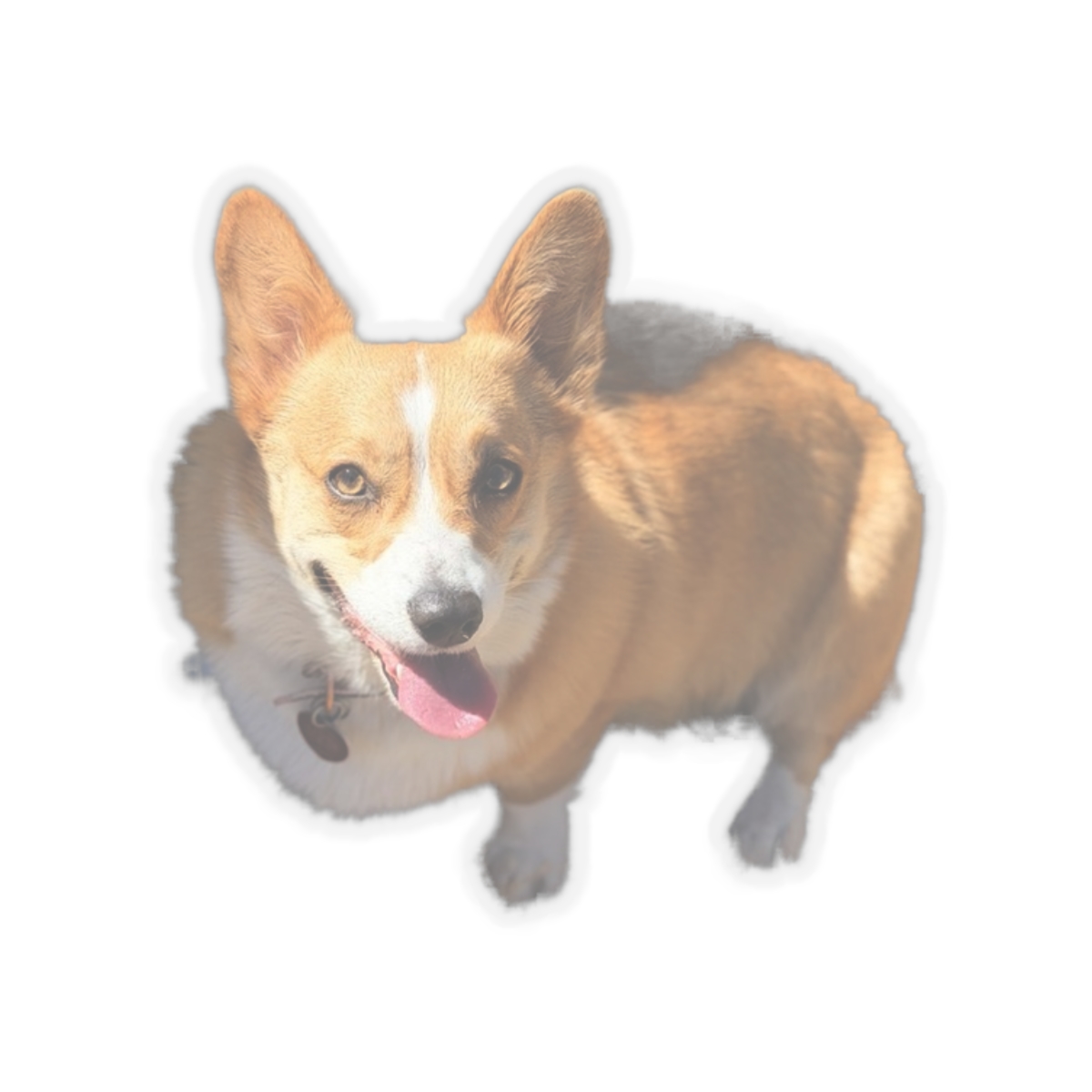 Corgi stickers